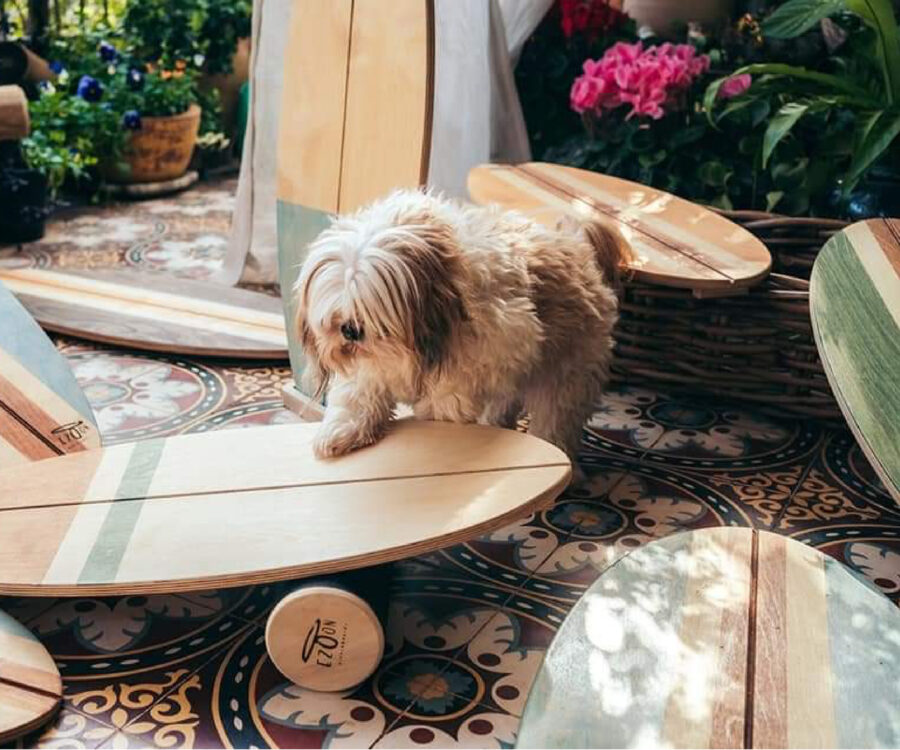 איזון איזון