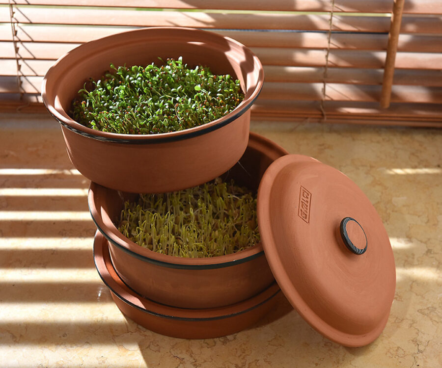 1000x1200 פשוט 1000x1200 פשוט